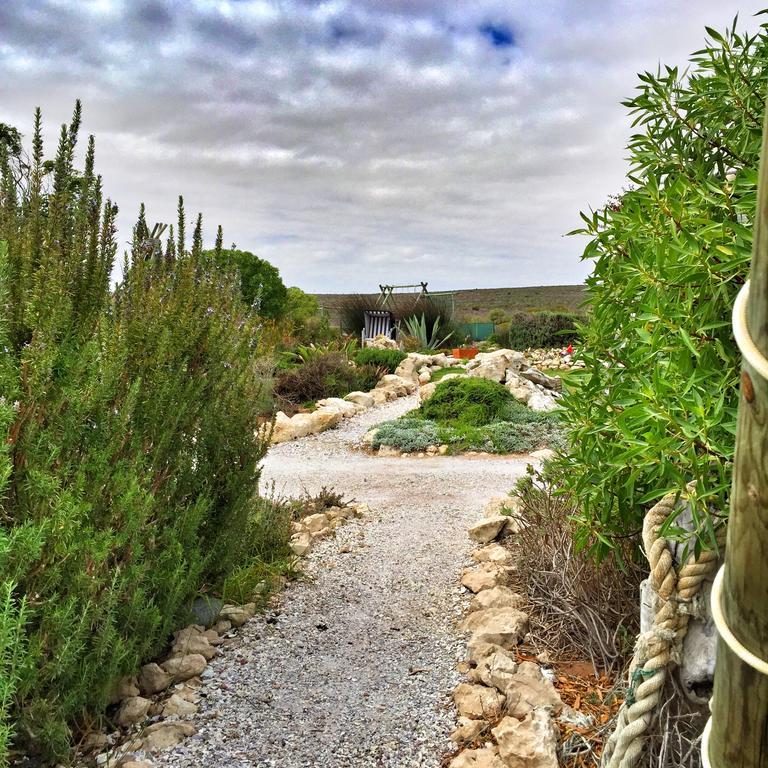 פטרנוסטר Farr Out Guest House מראה חיצוני תמונה