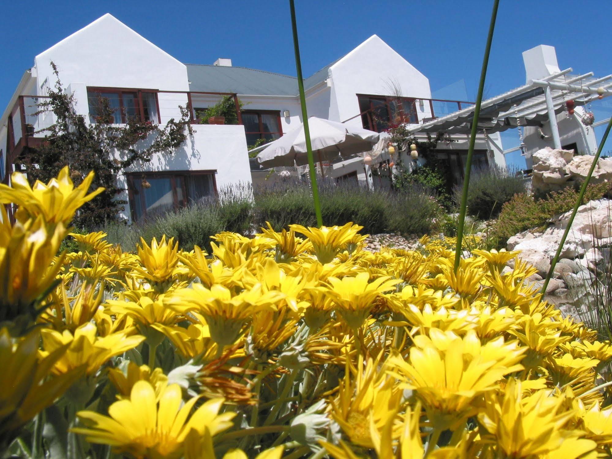 פטרנוסטר Farr Out Guest House מראה חיצוני תמונה