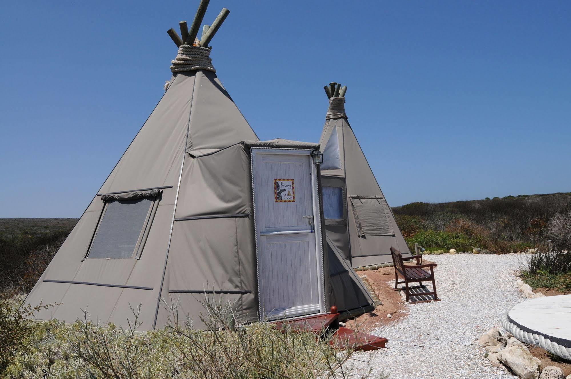 פטרנוסטר Farr Out Guest House מראה חיצוני תמונה